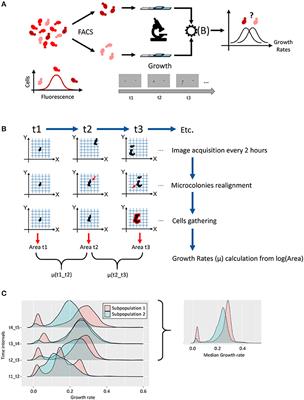 Insights on the Control of Yeast Single-Cell Growth Variability by Members of the Trehalose Phosphate Synthase (TPS) Complex